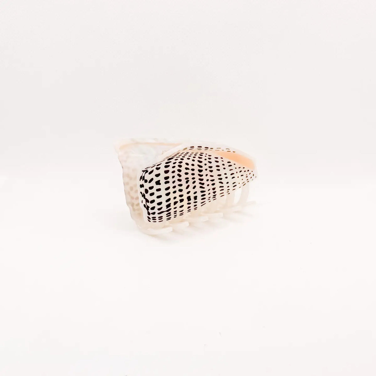 Flea Cone Shell Hair Claw
