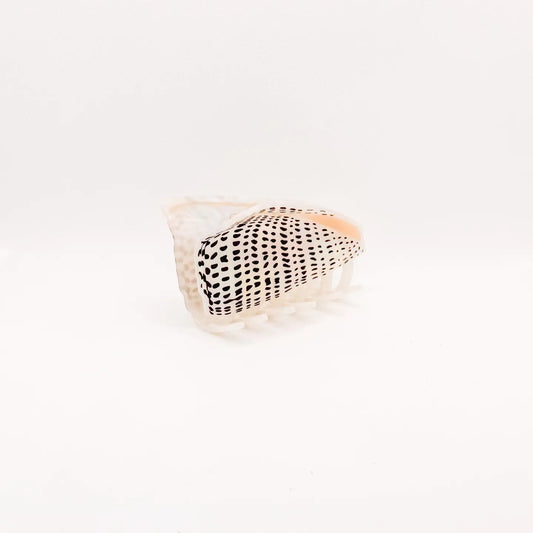 Flea Cone Shell Hair Claw