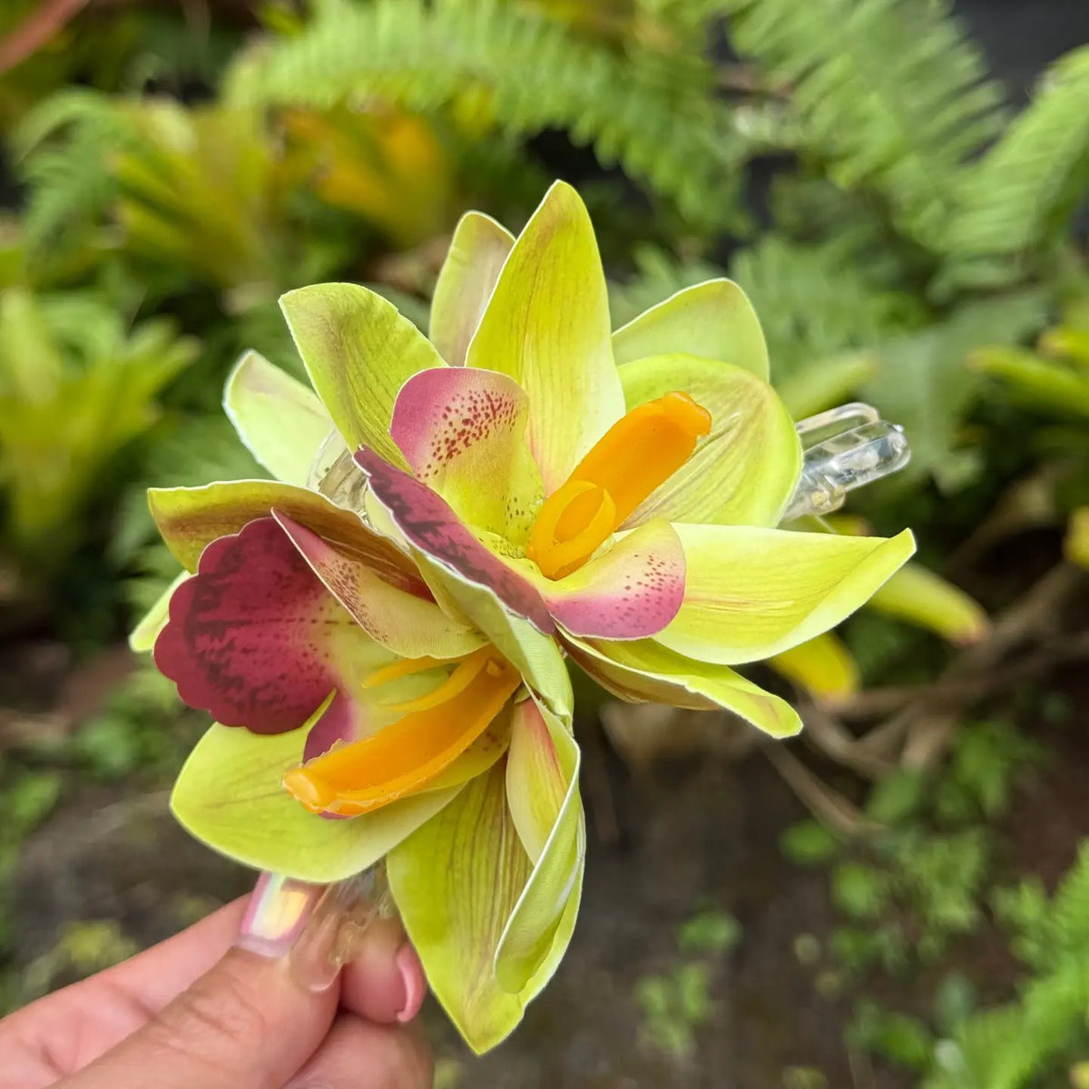 Cattleya Orchid Hair Claw MEADOW - Phases Hawaii