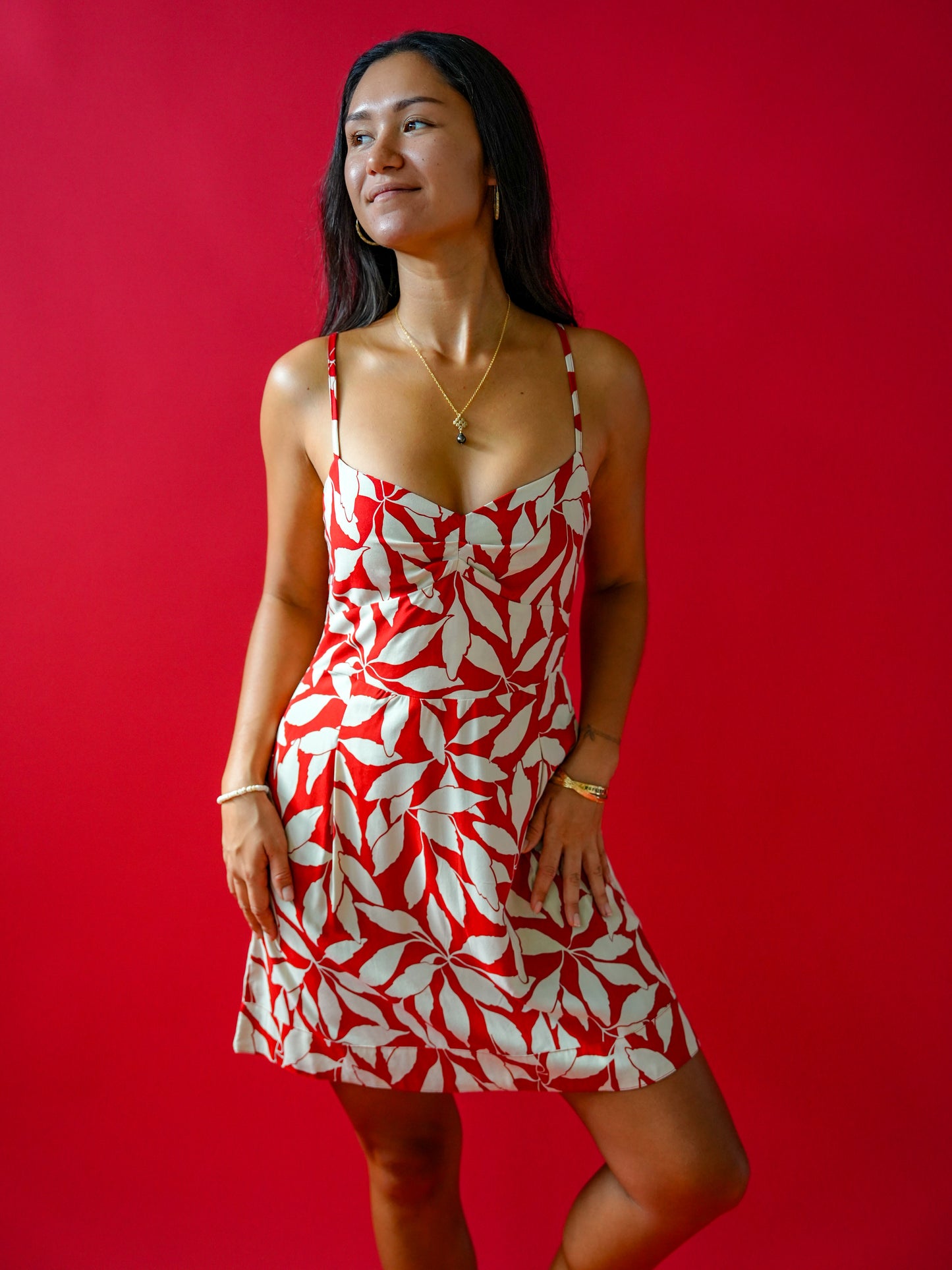 Guapa Dress - Laleen Red