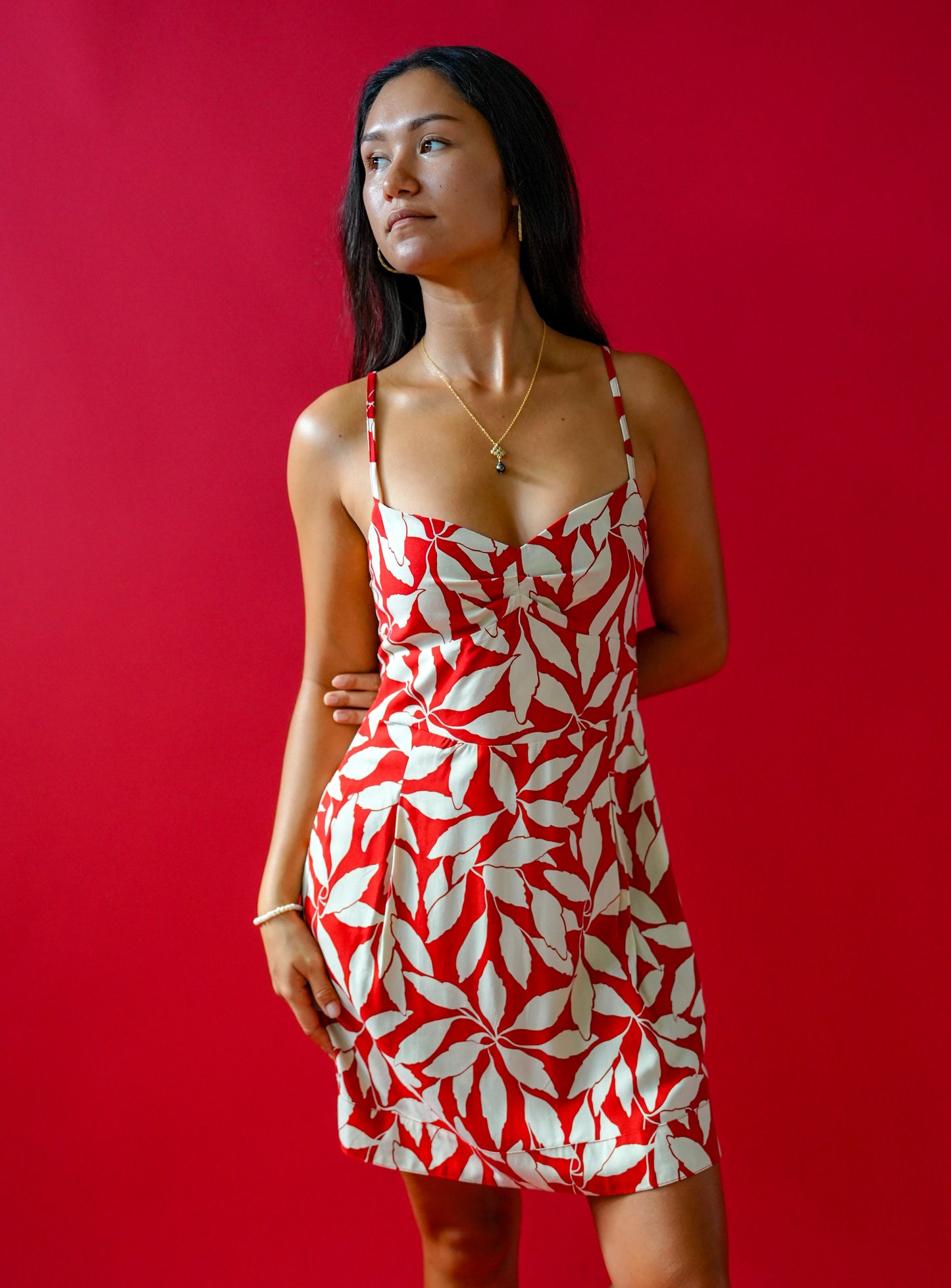 Guapa Dress - Laleen Red