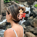 Plumeria Watercolor Triple Hair Claw - Phases HI