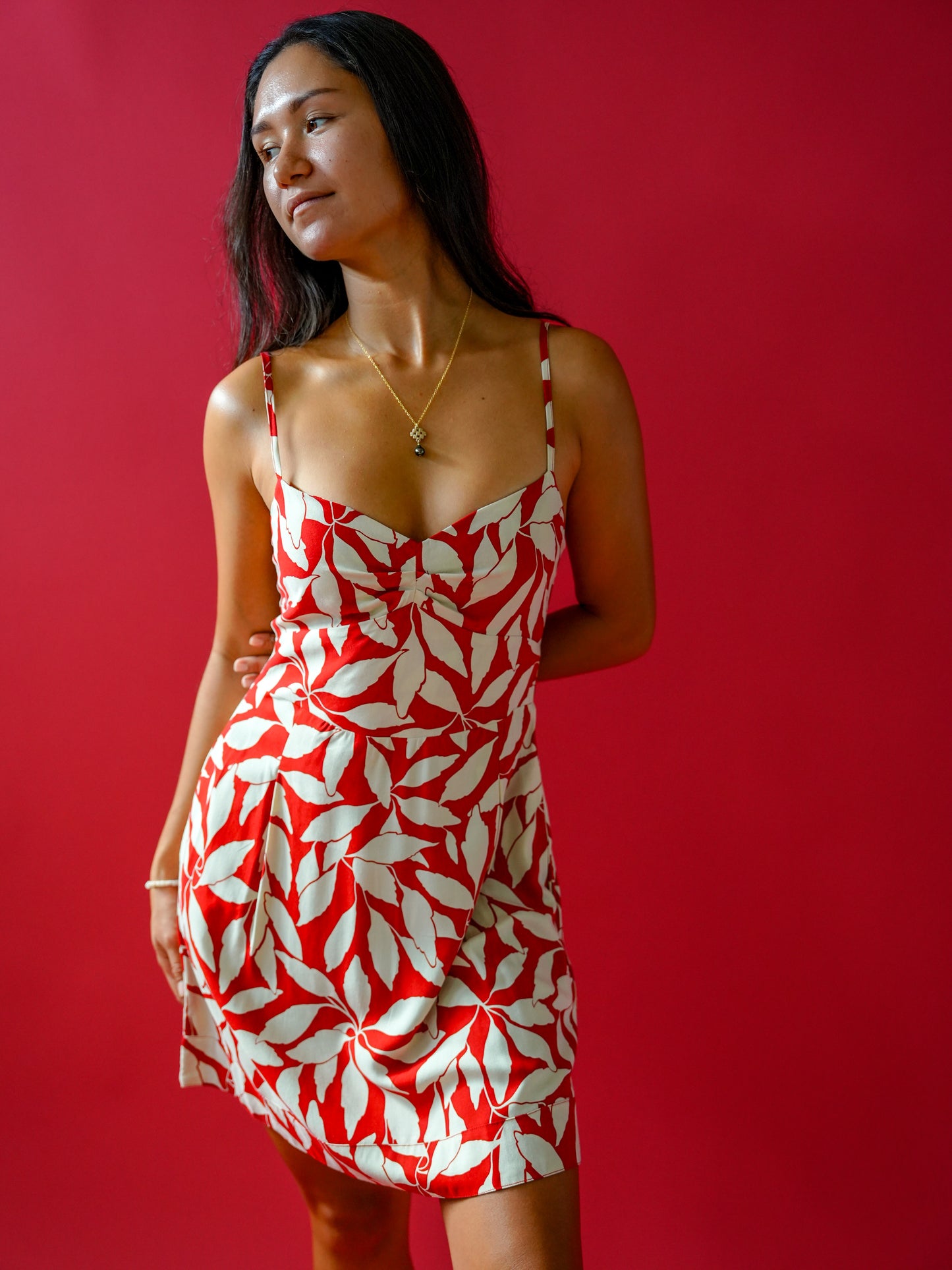 Guapa Dress - Laleen Red