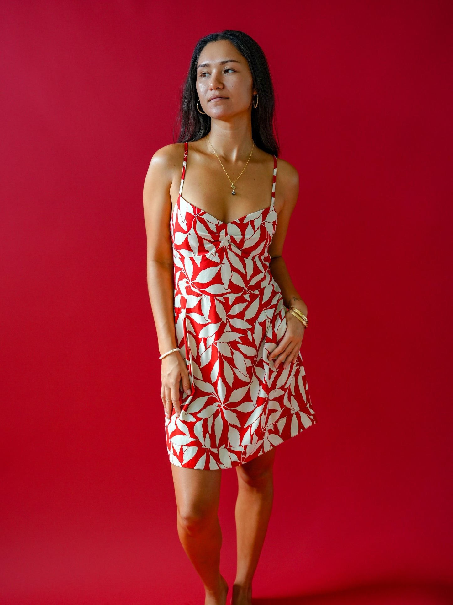 Guapa Dress - Laleen Red