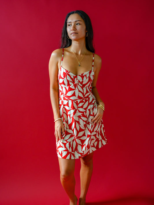 Guapa Dress - Laleen Red