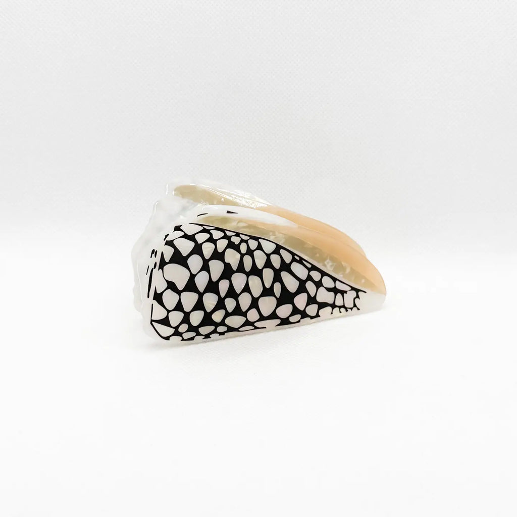 Marble Black Cone Shell Hair Claw