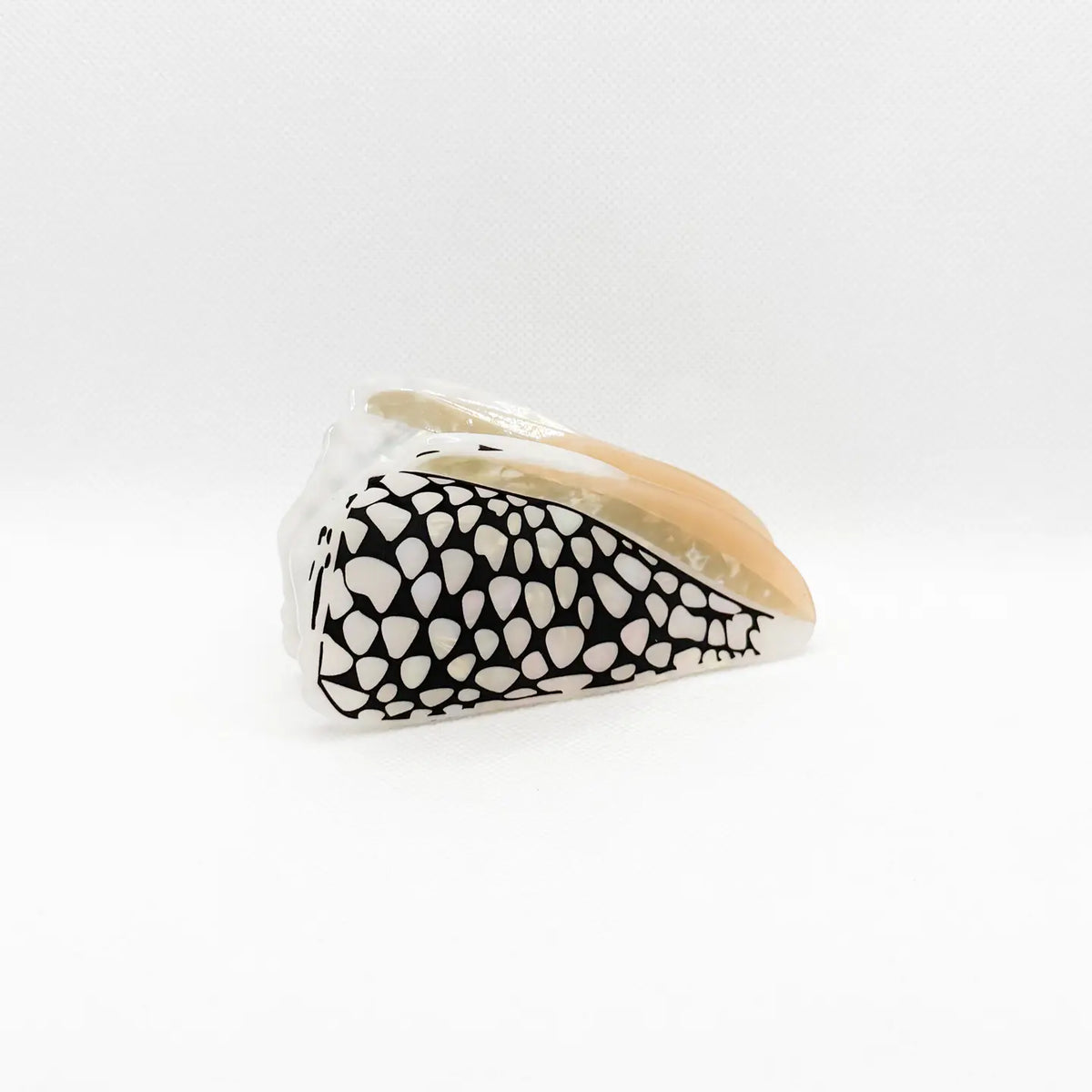 Marble Black Cone Shell Hair Claw