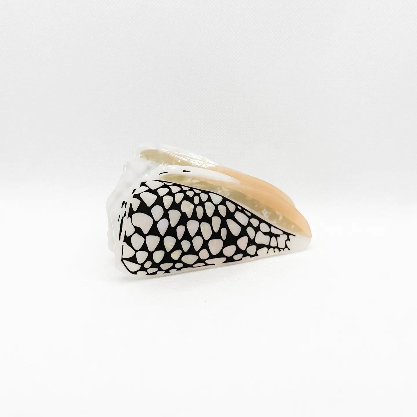 Marble Black Cone Shell Hair Claw
