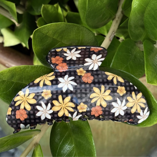 Palaka Puas Bombucha - Phases Hawaii