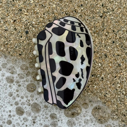 Hebrew Shell Hair claw
