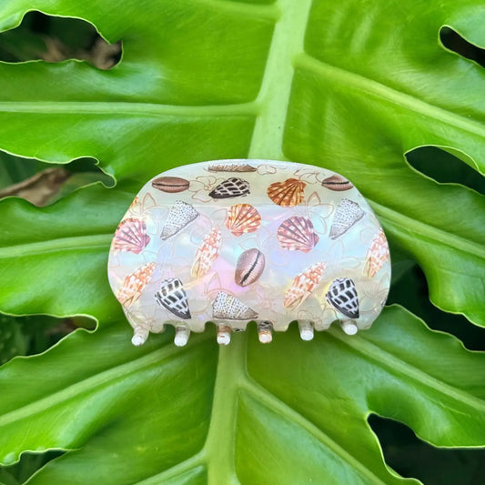 Shells Mahina Watercolor - Phases Hawaii