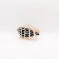 Hebrew Cone Shell Hair Claw