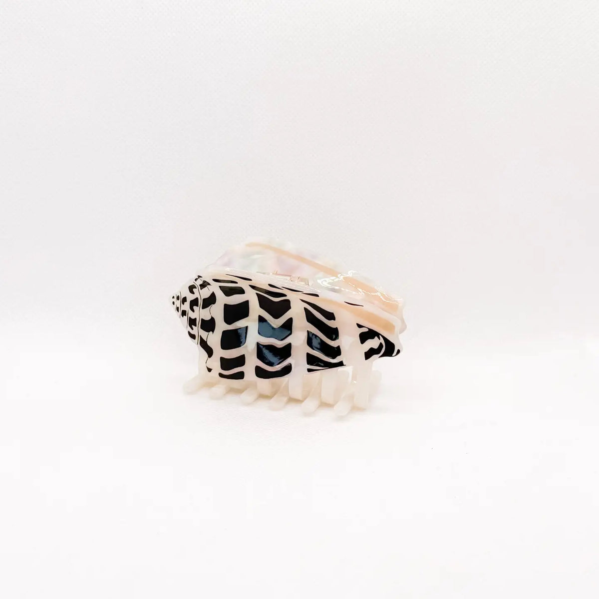 Hebrew Cone Shell Hair Claw
