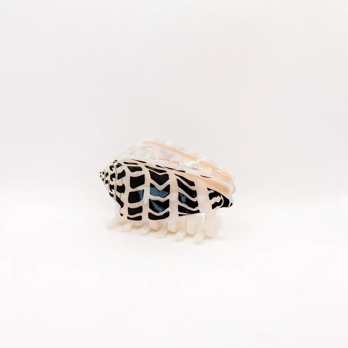 Hebrew Cone Shell Hair Claw