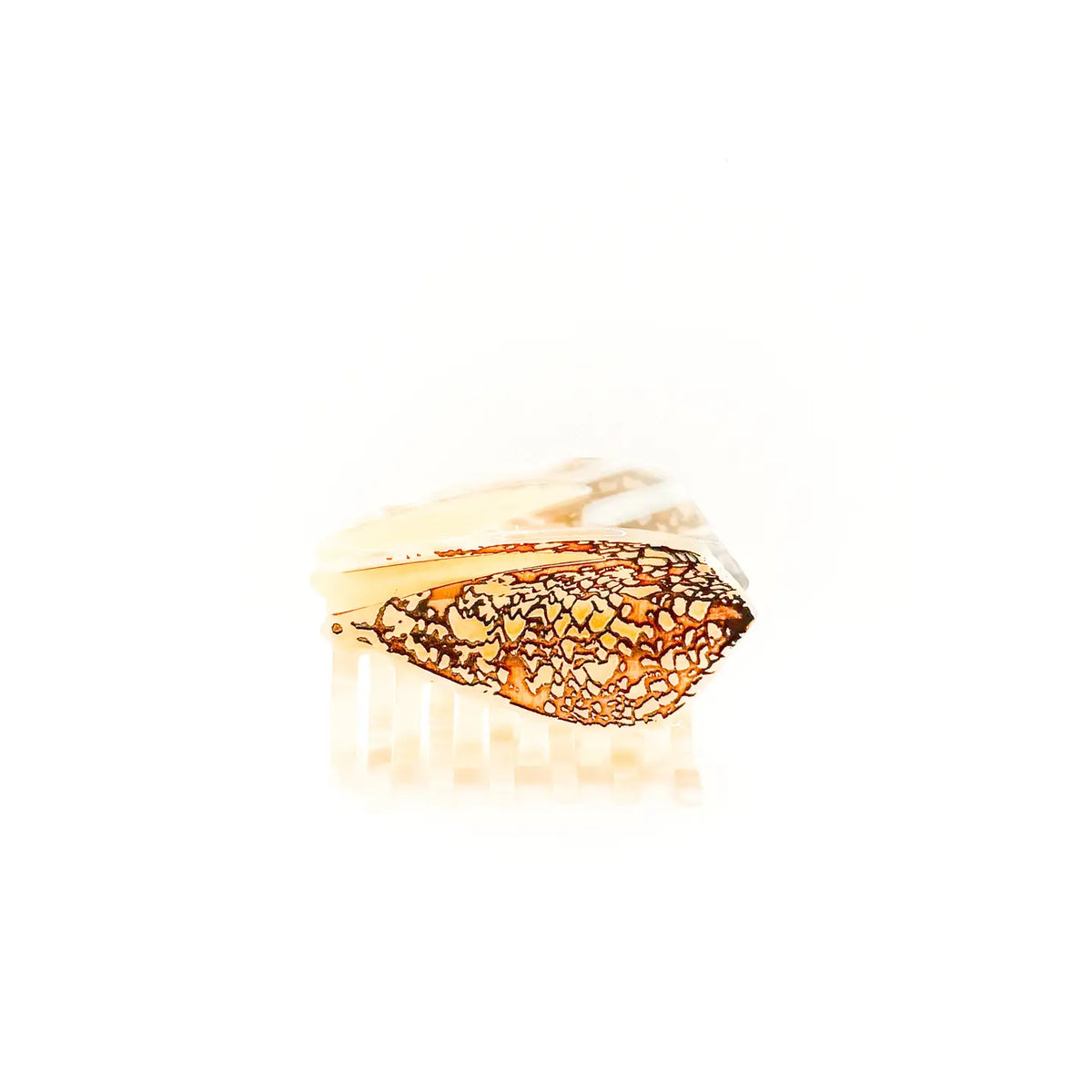 Brown Textile Cone Shell Hair Claw